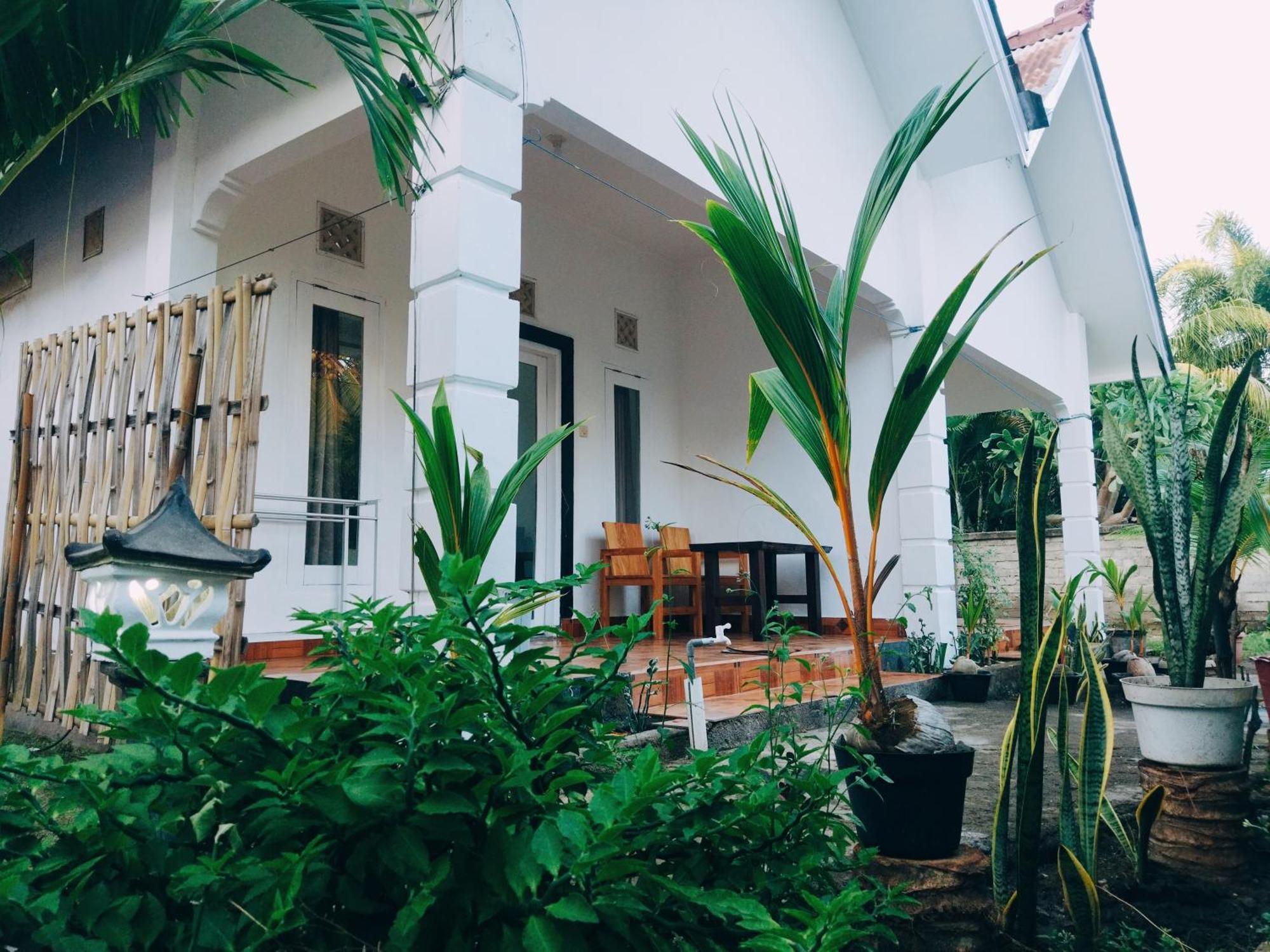 Balengku Homestay Νησιά Γκίλι Εξωτερικό φωτογραφία